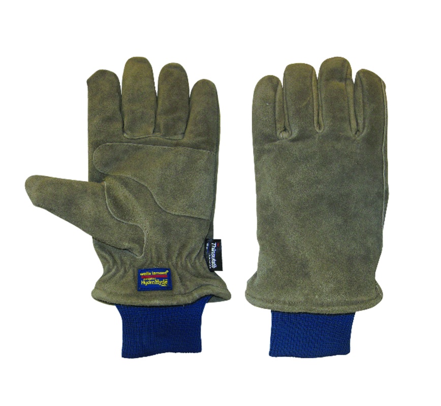 Wells Lamont 1196L Thinsulate Lined Winter Glove, Large