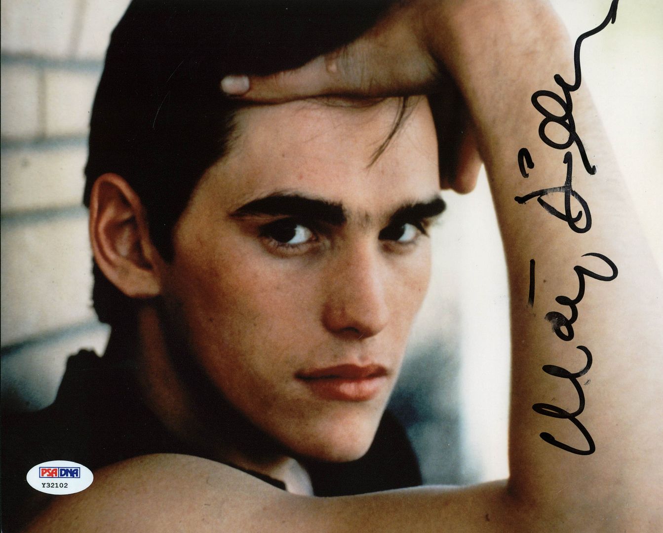 Press Pass Collectibles MATT DILLON THE OUTSIDERS SIGNED AUTHENTIC 8X10 PHOTO PSA/DNA #Y32102