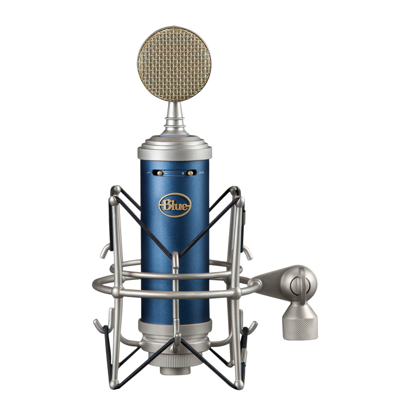 Blue Microphones Bluebird SL Microphone Bundle with Mic Stand and XLR Cable
