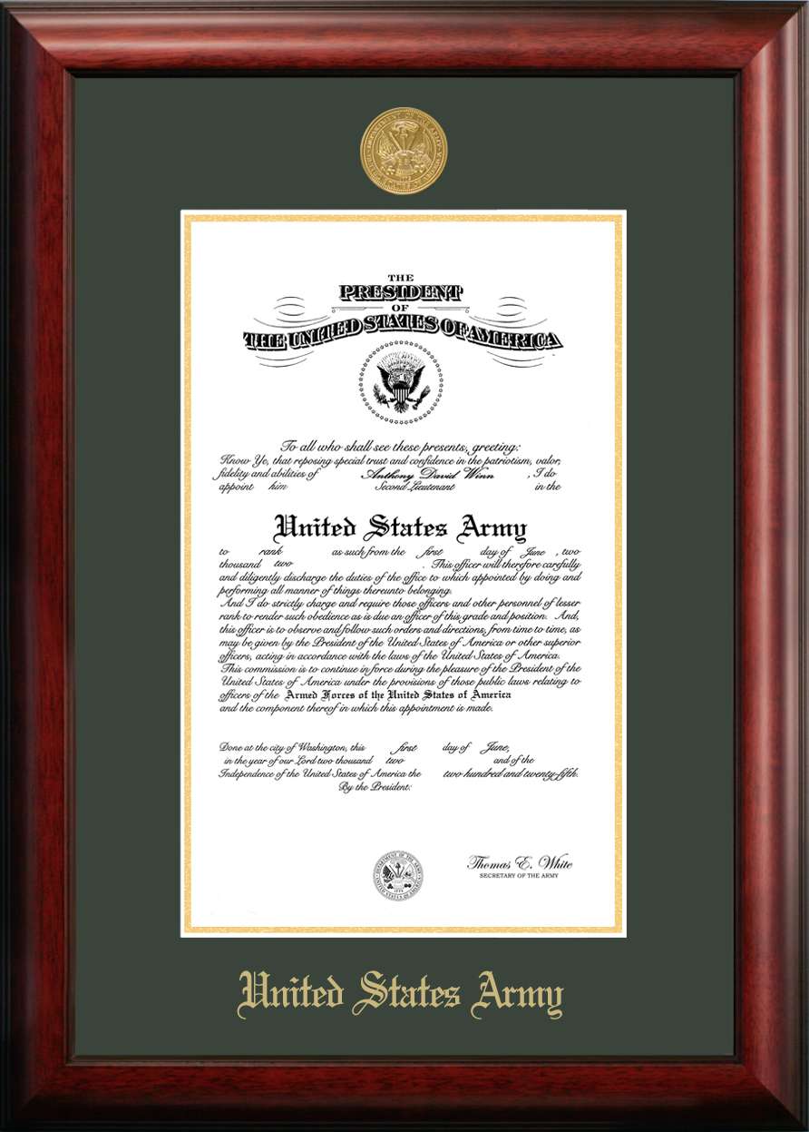 Campus Images Patriot Frames Army 10x14 Certificate Frame Gold Medallion