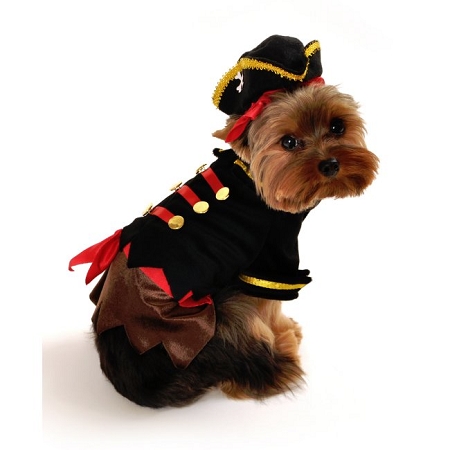 Anit Accessories Ap1055-m Buccaneer Pirate Dog Costume - Medium