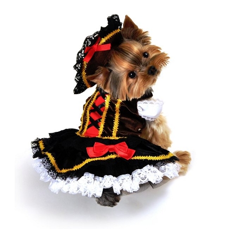 Anit Accessories Ap1066-xl Swashbuckler Pirate Girl Dog Costume - Extra Large