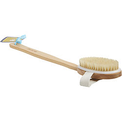 Spa Accessories Beechwood Spa Bath Brush By Spa Accessories For Men  N  Women