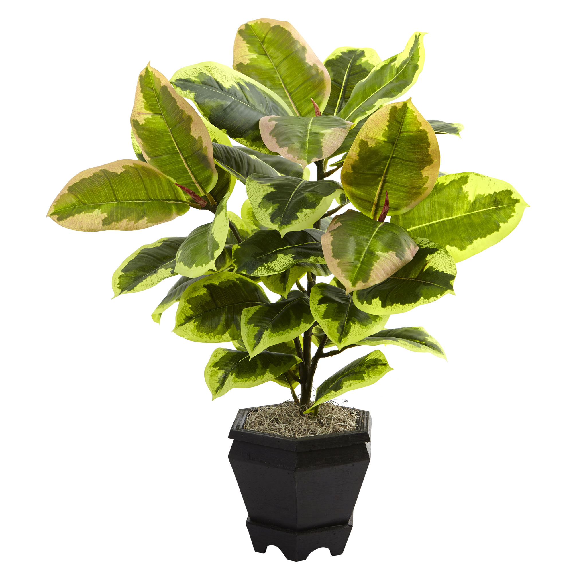 Nearly Natural Variegated Rubber Leaf With Planter