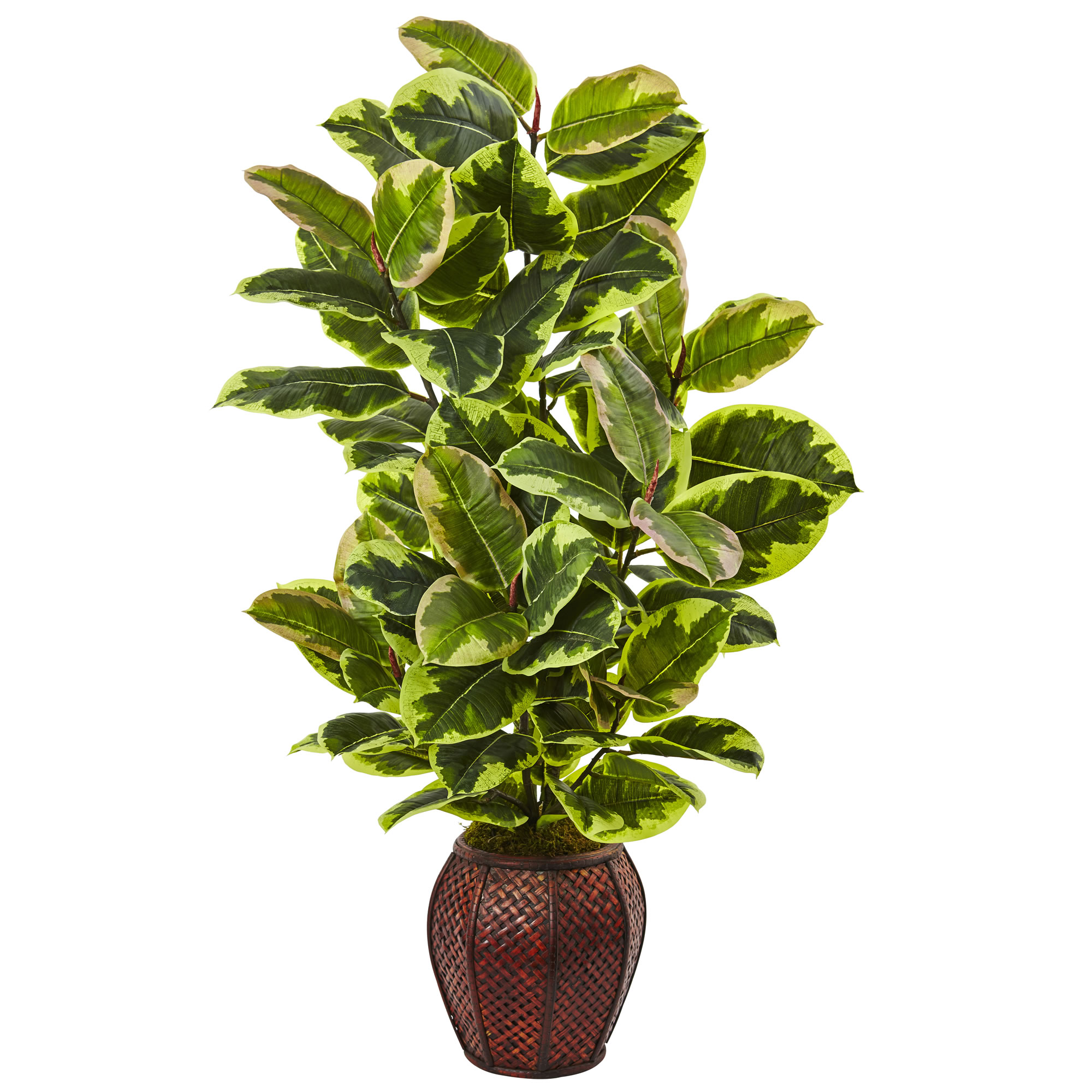 Nearly Natural Rubber Plant With Planter