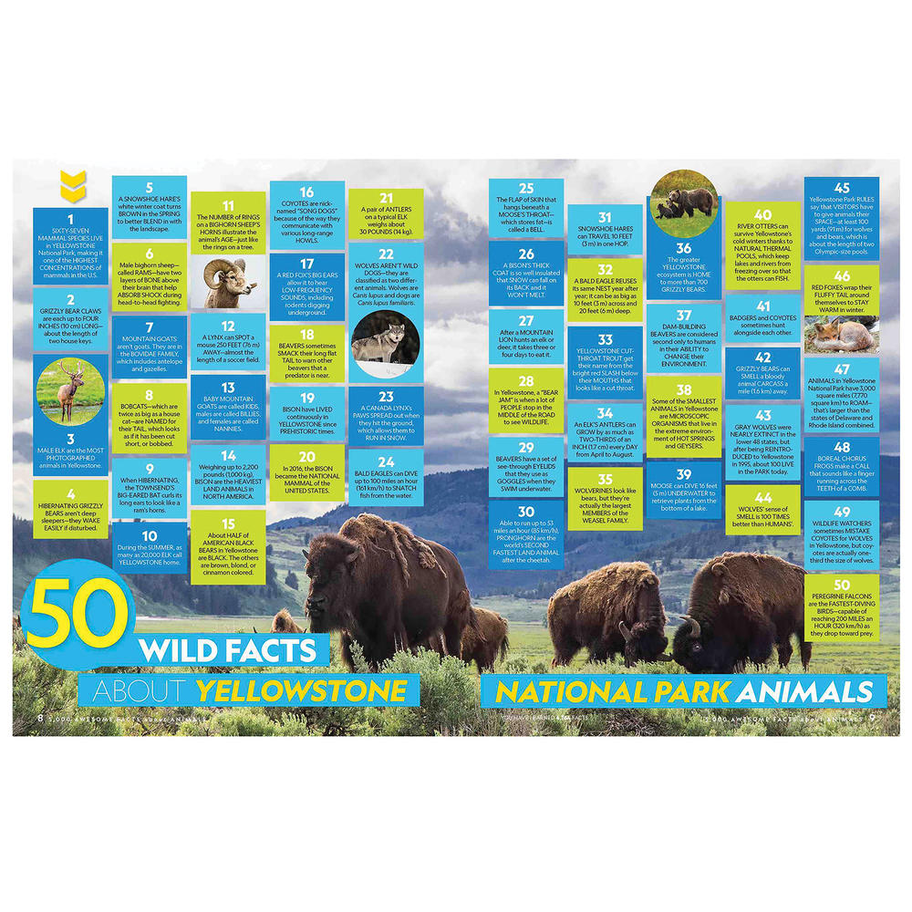 LONELY PLANET/HACHETTE BK GR National Geographic: 5000 Awesome Facts about Animals Book (Hardcover)