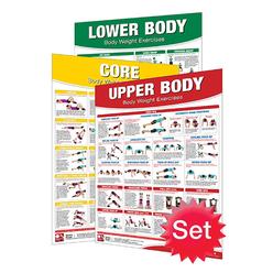 Weider Exercise Chart