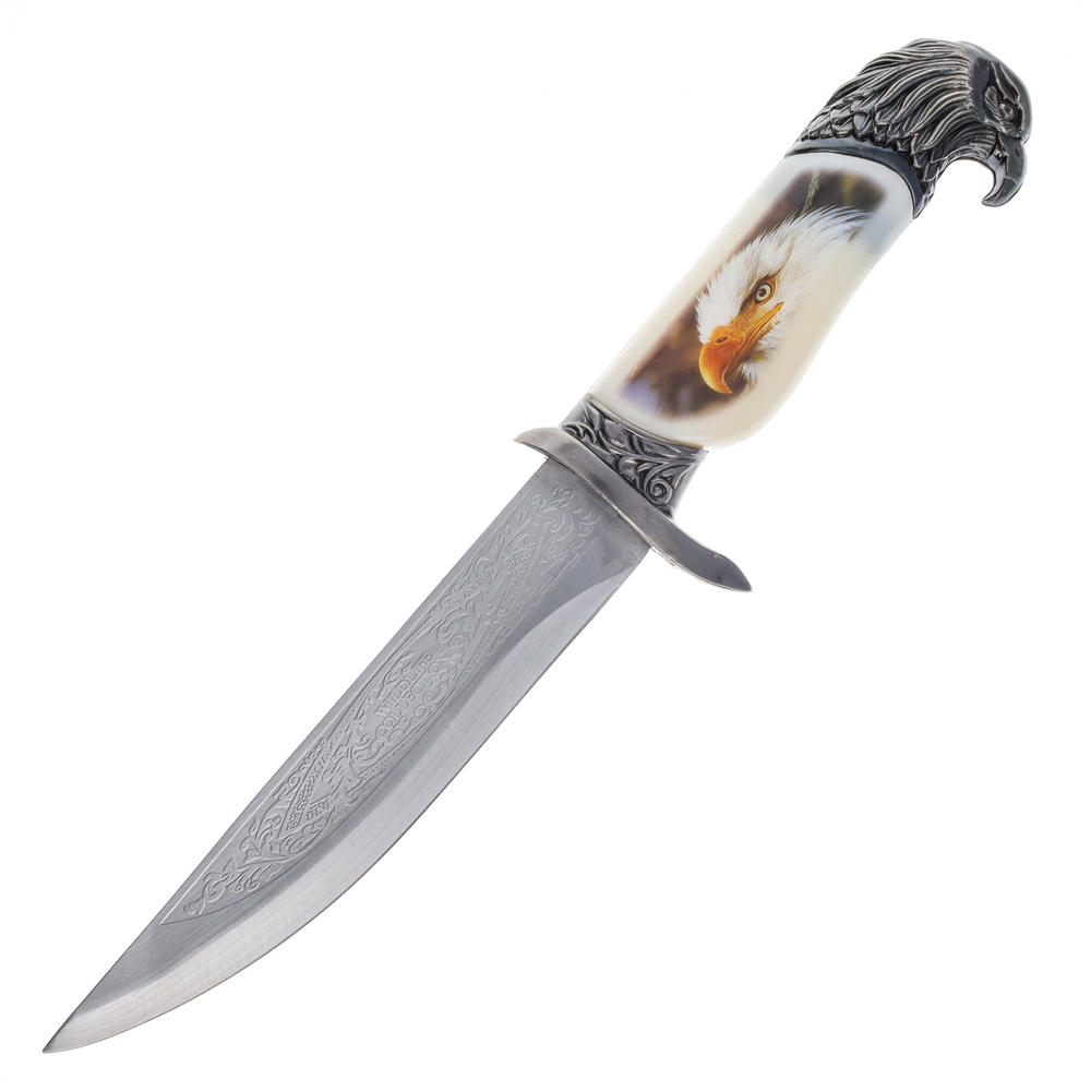ASR Outdoor 13.5" Collector's Hunting Knife with Eagle Scabbard and Handle