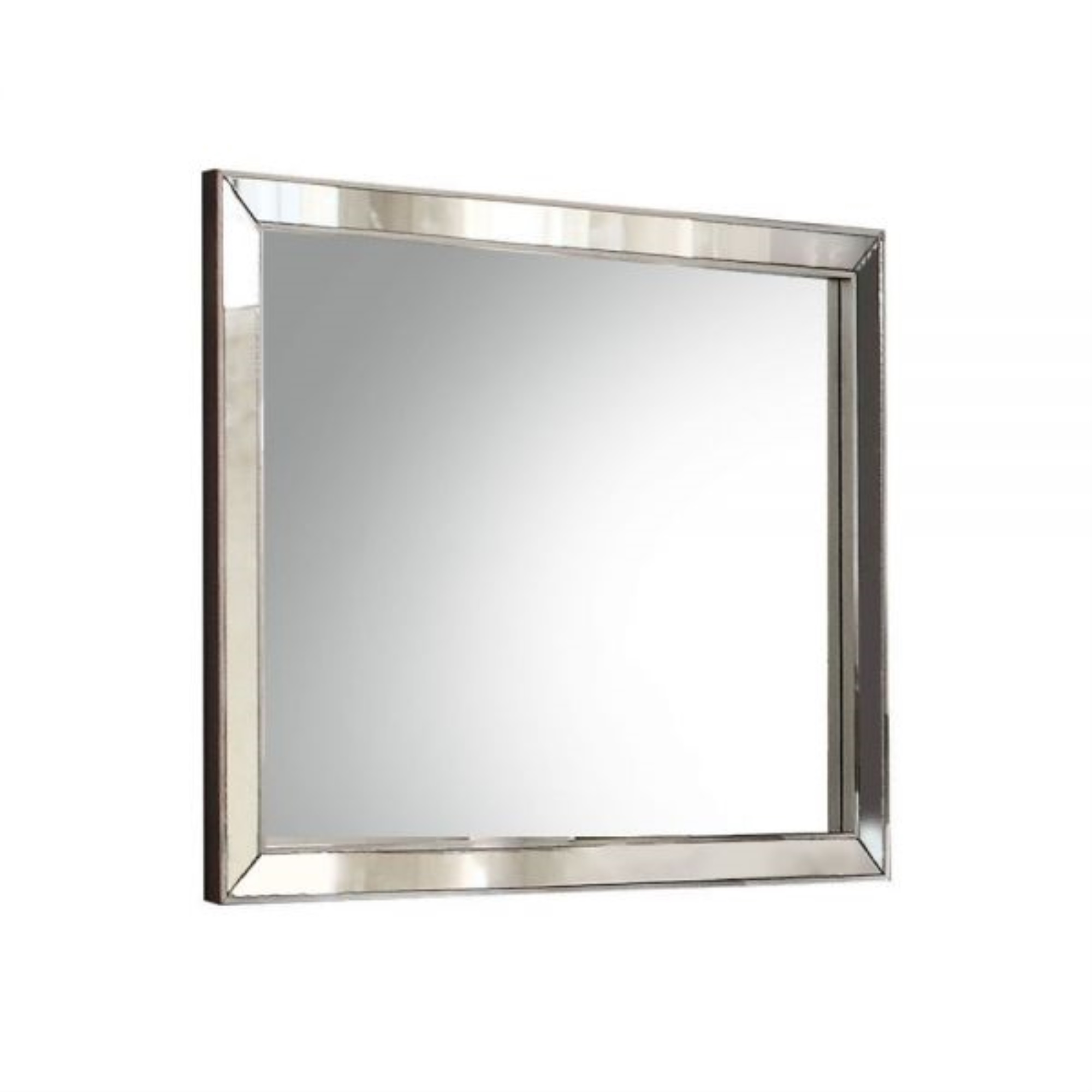 Ergode Mirror Platinum