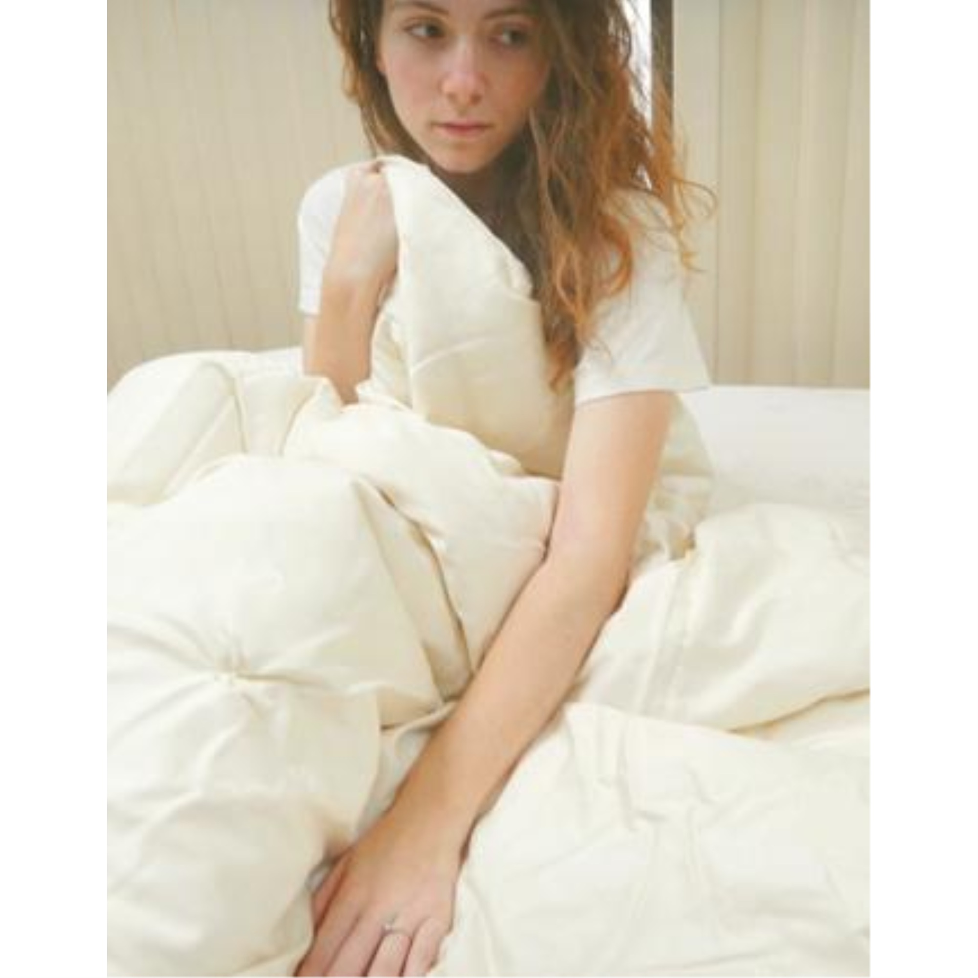 Healthy Body Head to Toe Organic Cotton EcoWool Fill Comforters - Euro Twin Damask Ecowool Comforter Light fill 54 x 78"