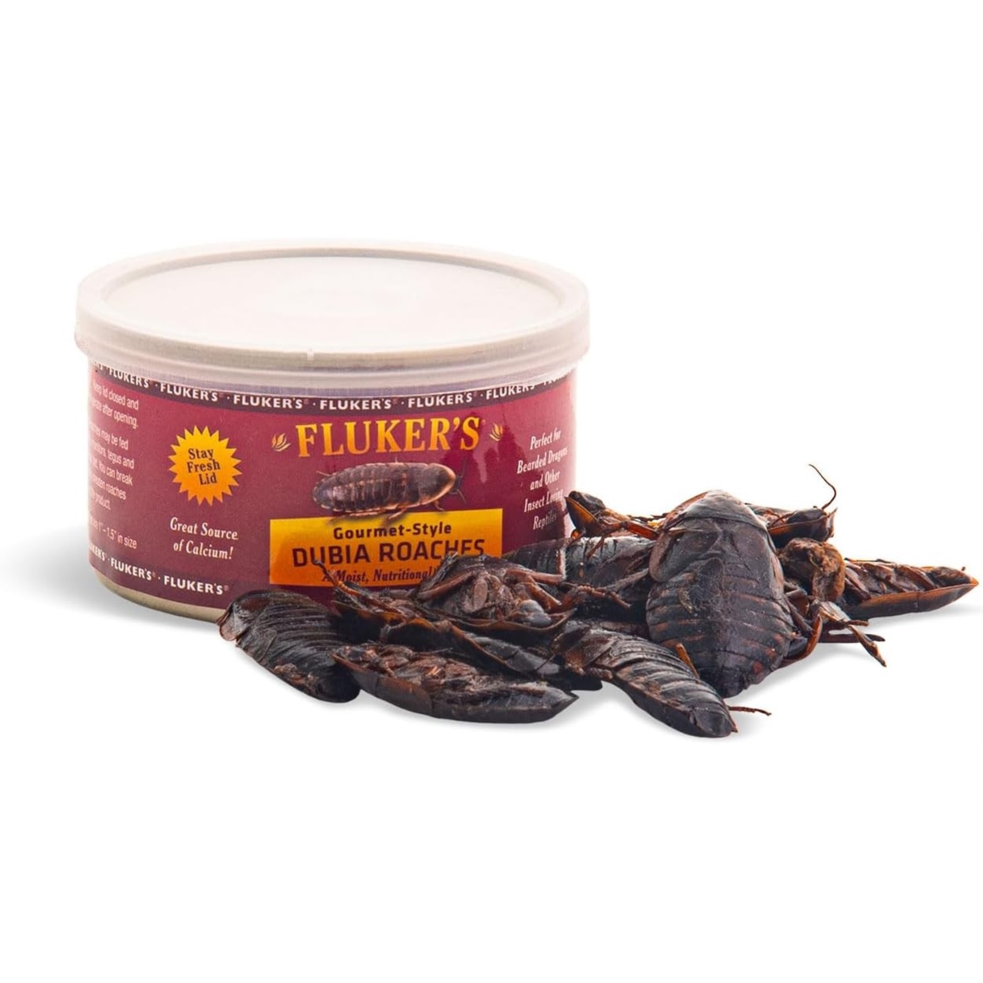 Flukers Gourmet Canned Dubia Roaches for Reptiles