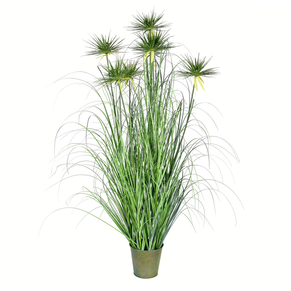 Vickerman 48" Green Cyperus Grass In Iron Pot - TD190248 