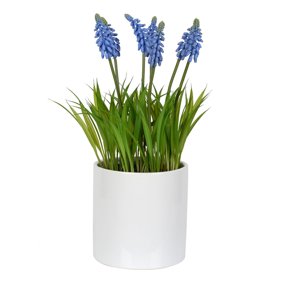 Vickerman 13.5" Hyacinth Flower in Ceramic Pot - FJ180401 