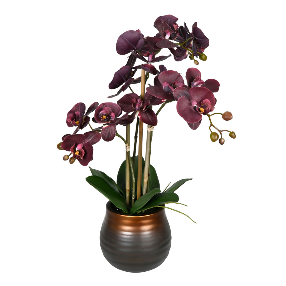 Vickerman 22" Purple Phalaenopsis In Pot - FN190501 