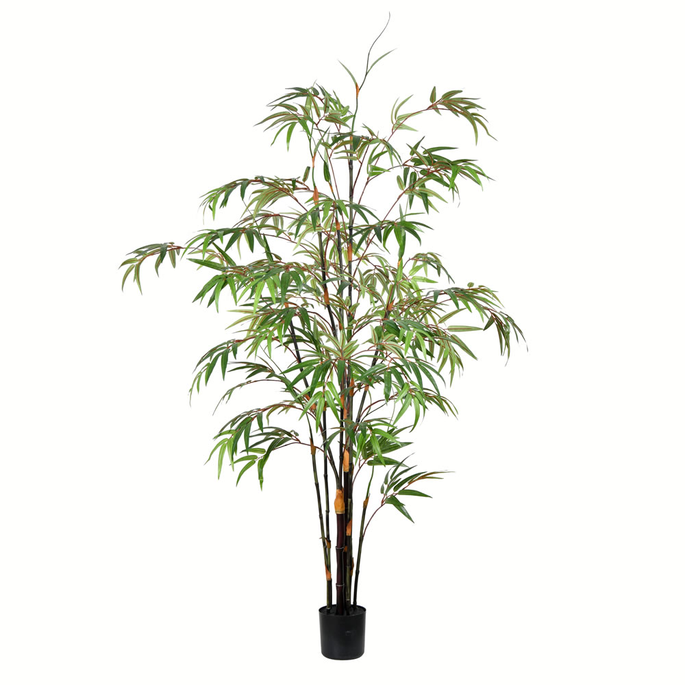 Vickerman 5' Potted Black Japanese Bamboo Tree - TB190150 