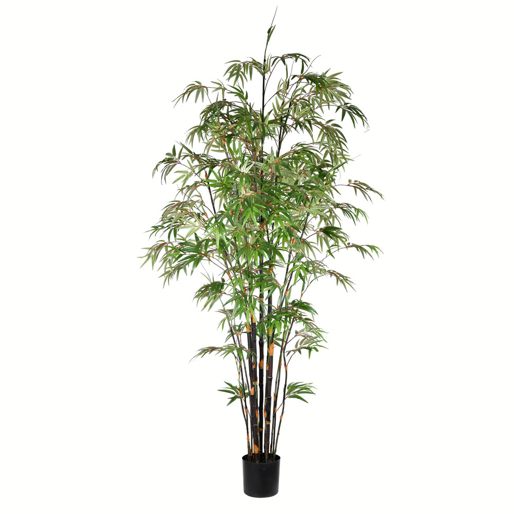 Vickerman 8' Potted Black Japanese Bamboo Tree - TB190180 