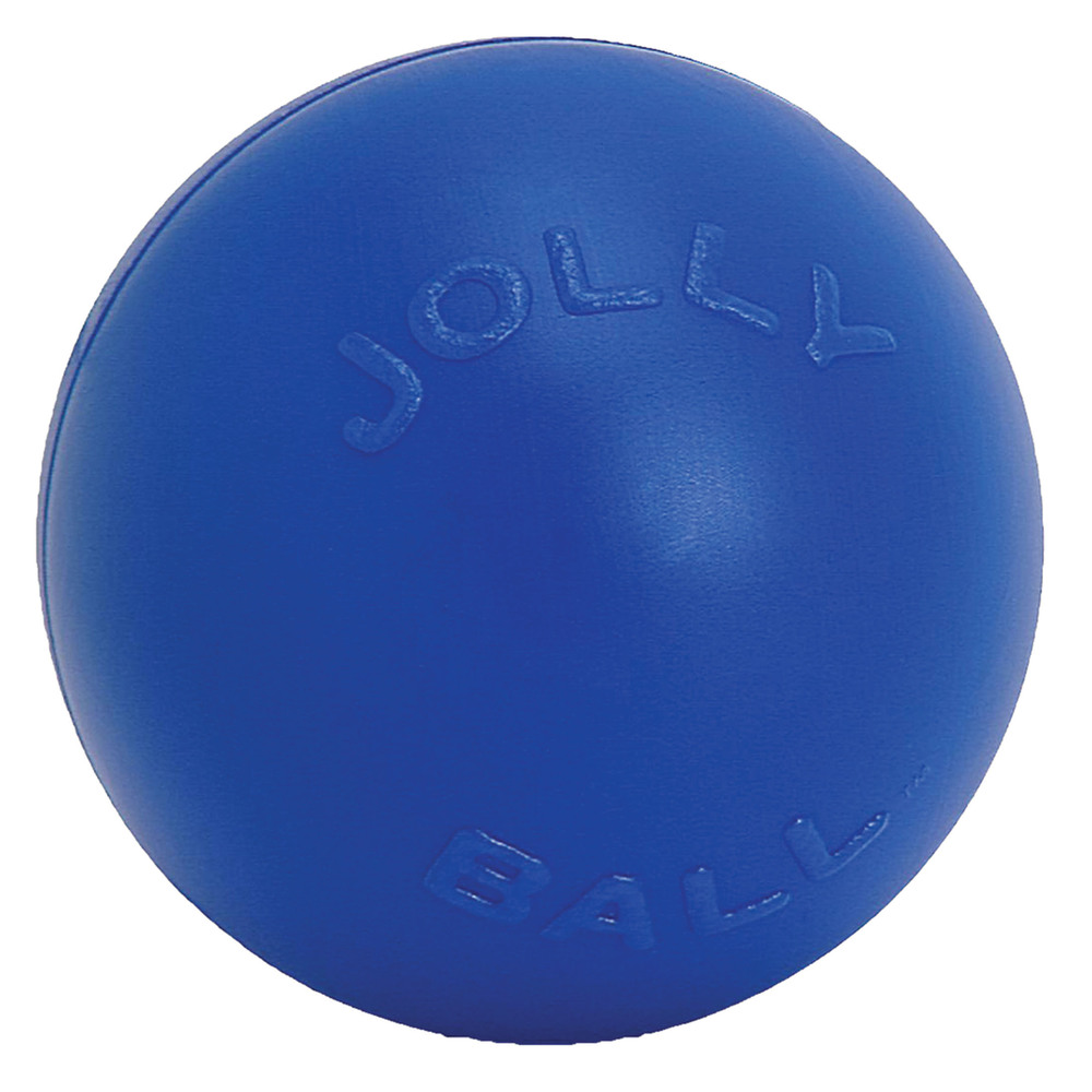 Jolly Pets Push-N-Play Ball Dog Toy, 10 Incheslarge, Blue