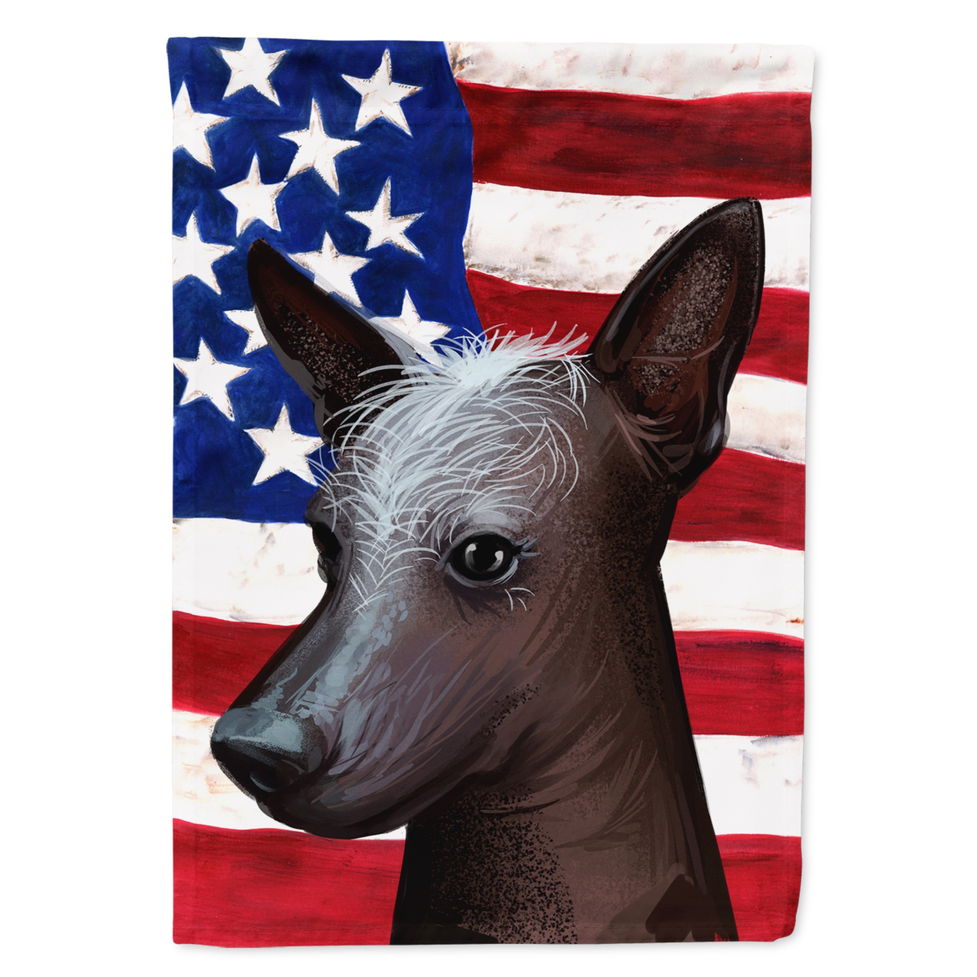 Caroline's Treasures "Caroline's Treasures CK6614CHF Mexican Hairless Dog American Canvas House Size Outdoor-Flags, Multicolor"