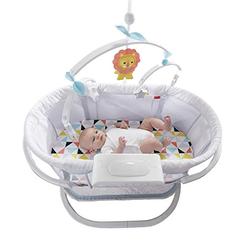 Fisher-Price DPV72 Fisher-Price Soothing Motions Bassinet, Multi Color