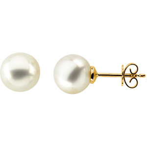 Stu 14kt Yellow 15mm Button South Sea Cultured Pearl Earrings