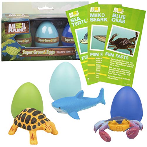 SCS Direct Animal Planet Ocean Sea Creature Eggs 3 Pack - Toys Hatch and  Grow to 3X Size in Water - Includes Turtle Shark & Crab