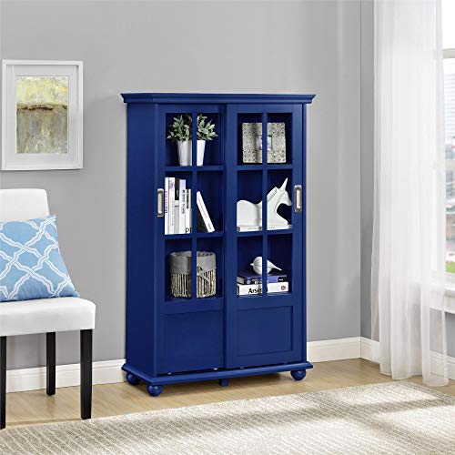 Ameriwood Home Aaron Lane Bookcase With, Home Office Bookcases With Doors