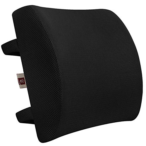 LOVEHOME Lumbar Support Pillow for Chair and Car, Back Support for Office  Chair Memory Foam Cusion with Mesh Cover for Back Pain