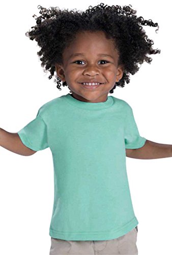 RABBIT SKINS Toddler 100% Cotton Jersey Short Sleeve Tee (Aqua, 7 Toddler)