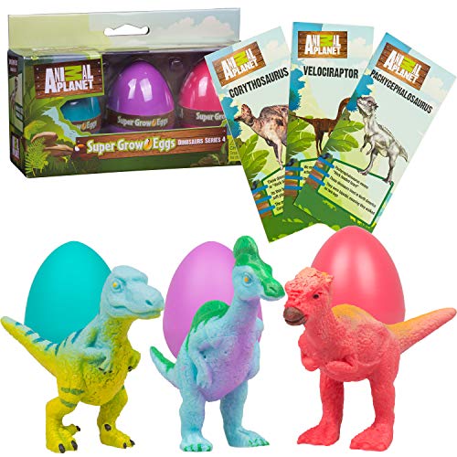 SCS Direct Animal Planet Super Grow Dinosaur Eggs 3 Pack - Toys Hatch and  Grow to 3x