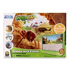Uncle Milton Giant Ant Farm - Large Viewing Area - Care for Live Ants - Nature Learning Toy - Science DIY Toy Kit - Great Gift f