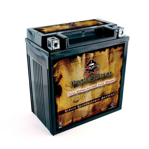 Pirate Battery YTX20CH-BS High Performance - Maintenance Free - Sealed AGM Motorcycle Battery