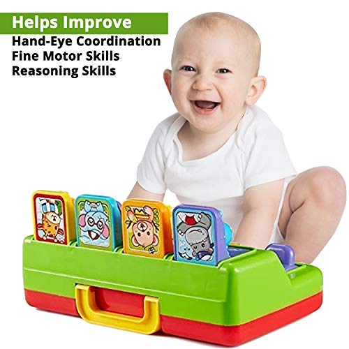 First Toys - Interactive Pop Up Animals Toy for Toddlers, with Music, Animal  Sounds - Activity/ Learning Toy