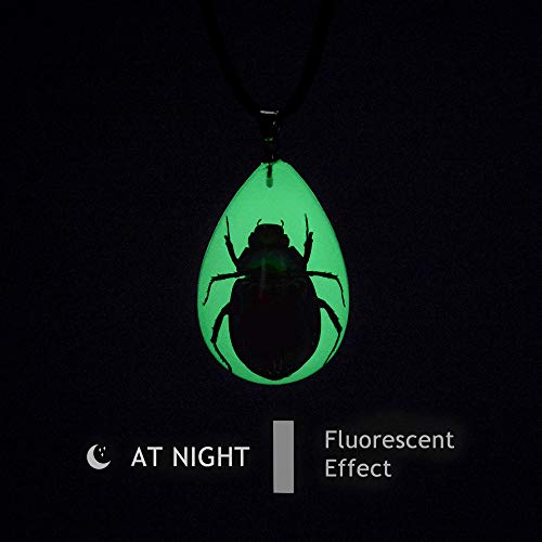 FOTTCZ Real Beetle Necklace, Real Beetle Pendant, Real Beetle Pendant Necklace - Fluorescent Green Bettle