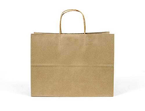 GIFT EXPRESSIONS Kraft Paper Bags, Kraft Gift Bag, Premium Quality Paper (Sturdy & Thicker), Biodegradable, Party Bags, Shopping