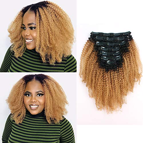 Sassina Two Tone Afro Curly Human Hair Clip-in Extensions For Black Women  Ombre Natural Black Fading to Strawberry Blonde 120 Gr