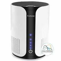 HIMOX AP01 Compact Air Purifier Medical Grade H13 True HEPA Filter (99.97%) Quiet Desk Air Cleaner Purifiers with 3 Stage Filtra