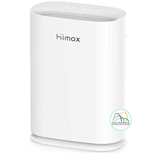 HIMOX H05 Smart Air Purifier for Home Extra Large Room Allergies, 1500 Sq Ft Coverage with High Precision Automatic Sensors, 5 i