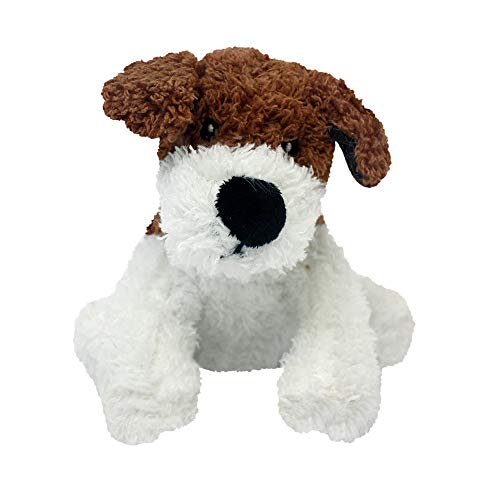Multipet Look Whos Talking Dog Dog Toy, Colors May Vary