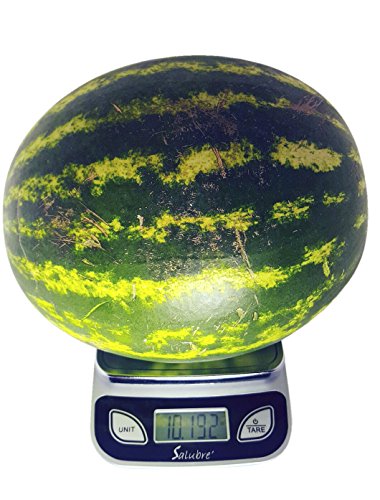 REM Concepts Digital Food Scale / Kitchen Scale / Postal Scale – Weigh in  Pounds, Ounces, Grams - Precise Weight Scale 1g (0.01oz) to 11 lbs