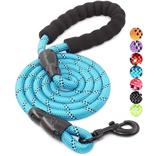 BAAPET 2/4/5/6 FT Strong Dog Leash with Comfortable Padded Handle and Highly Reflective Threads for Small Medium and Large Dogs 