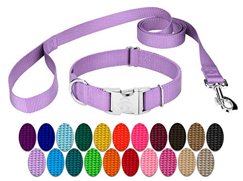 Country Brook Design Country Brook Petz - Vibrant 25+ Color Selection - Premium Nylon Dog Collar and Leash (Large, 1 Inch Wide, Lavender)