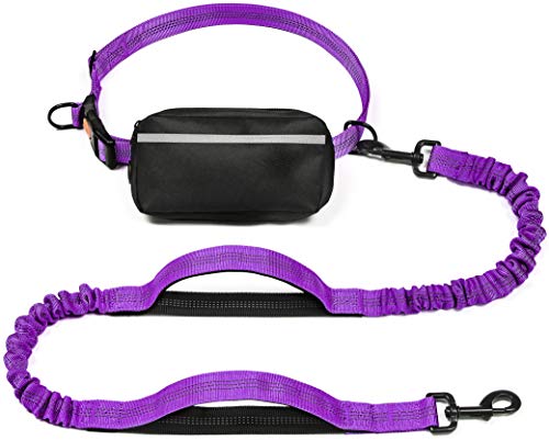 Iyoshop Hands Free Dog Leash With Zipper Pouch, Dual Padded Handles And Durable Bungee For Walking, Jogging And Running Your Dog