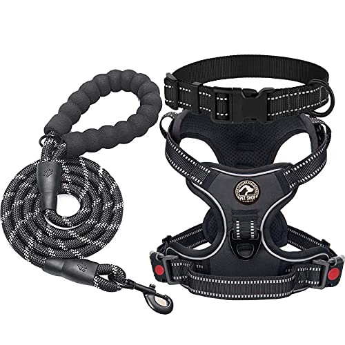 Qisebin Dog Harness, No-Pull Pet Harness with 2 Leash Clips, Adjustable Soft Padded Dog Vest, Reflective No-Choke Pet Oxford Ves