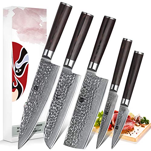 XINZUO 5-Piece Damascus Kitchen Knife Set Japanese Steel, Nakiri Knife Slicing Hammered Forging Damascus Kitchen Knife Professio