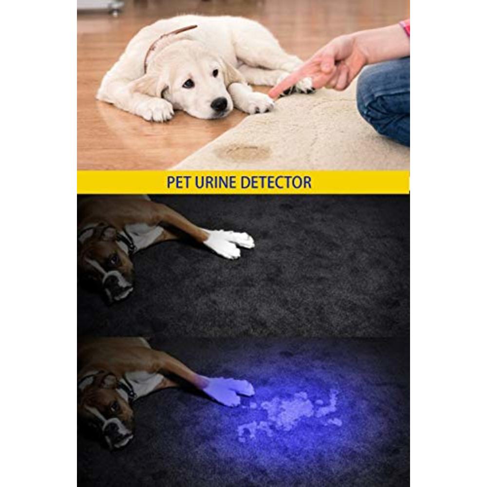 DARKBEAM USB Rechargeable UV light 395nm led Flashlight Portable 400nm Mini Detector for Dog Urine Pet Stains, Anti-counterfeiti