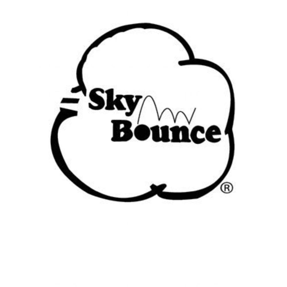 Sky Bounce Color Rubber Handballs for Recreational Handball, Stickball, Racquetball, Catch, Fetch, and Many More Games, 2 1/4-In