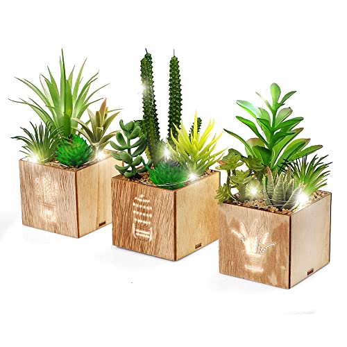Begondis Set of 3 Artificial Succulents with Led Lights in Wooden Box, Artificial Plants Plastic Fake Topiary for Home/Office Decorations
