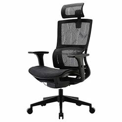 XUER Ergonomic Office chair - Home Office Desk chair with Adaptive Lumbar Support, Adjustable 3D Armrest, Headrest and Breathabl