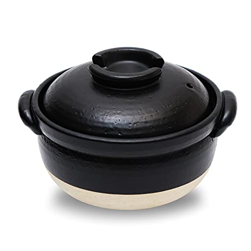 Toyo Case DONABE Clay Rice Cooker Pot Japanese Style made in Japan for 1 to 2 cups with Double Lids, Microwave Safe