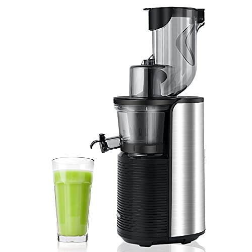 Viesimple Masticating Juicer Cold Press Juicers Machine Easy to Clean Slow Juicer Extractor for Vegetable Fruit Juice Smoothies,